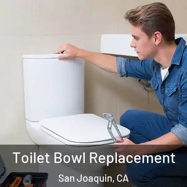  Toilet Bowl Replacement San Joaquin, CA
