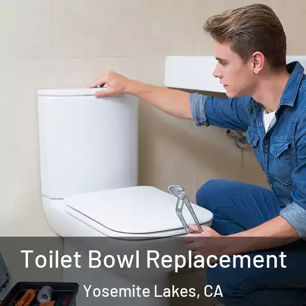  Toilet Bowl Replacement Yosemite Lakes, CA