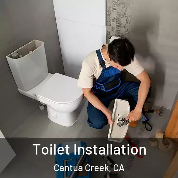  Toilet Installation Cantua Creek, CA