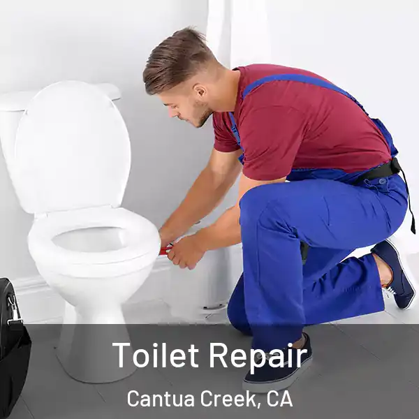  Toilet Repair Cantua Creek, CA