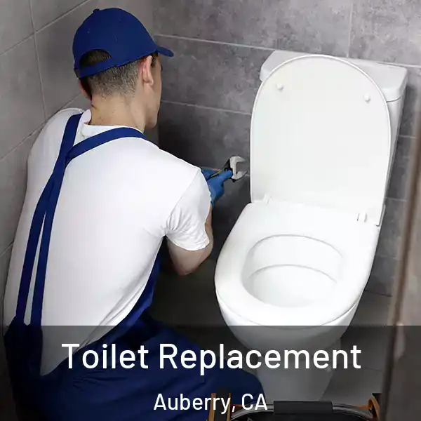  Toilet Replacement Auberry, CA