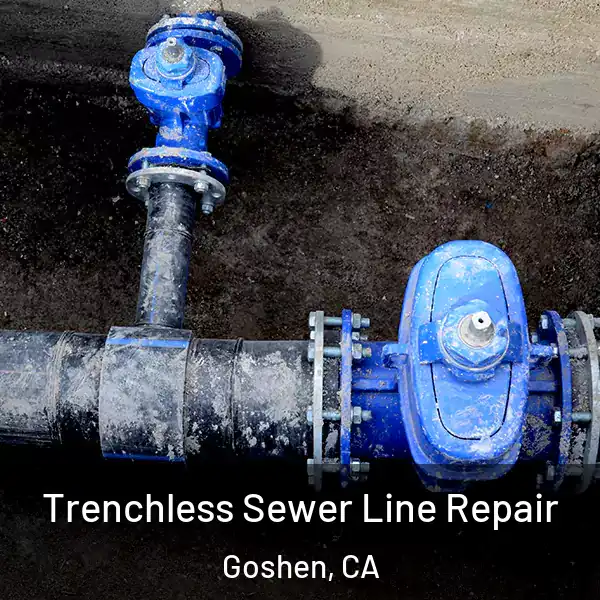  Trenchless Sewer Line Repair Goshen, CA