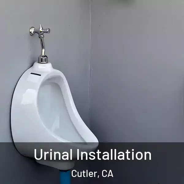  Urinal Installation Cutler, CA