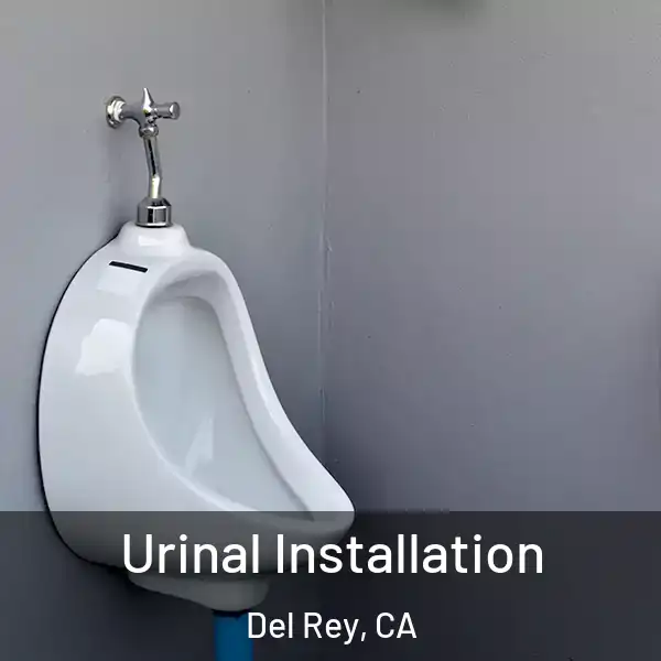  Urinal Installation Del Rey, CA