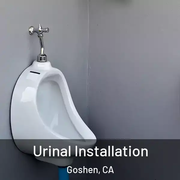  Urinal Installation Goshen, CA