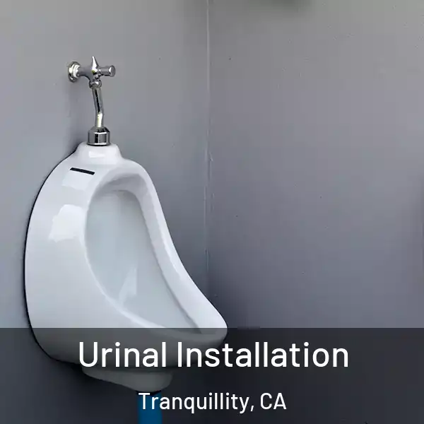  Urinal Installation Tranquillity, CA