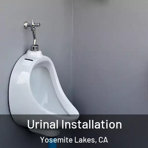  Urinal Installation Yosemite Lakes, CA