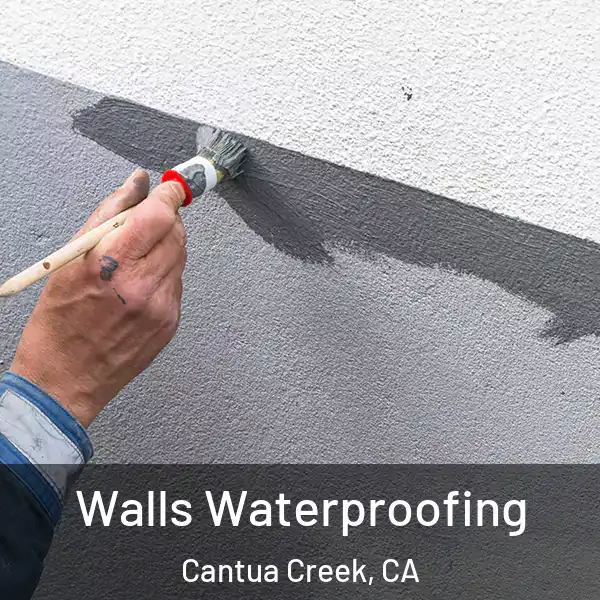  Walls Waterproofing Cantua Creek, CA