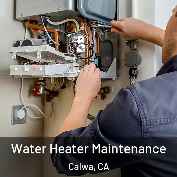  Water Heater Maintenance Calwa, CA