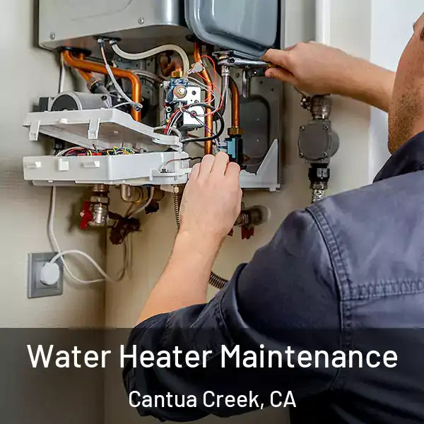  Water Heater Maintenance Cantua Creek, CA