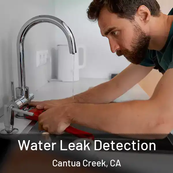  Water Leak Detection Cantua Creek, CA