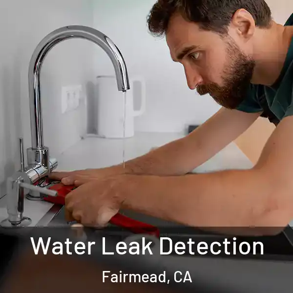  Water Leak Detection Fairmead, CA