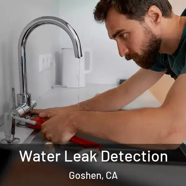  Water Leak Detection Goshen, CA