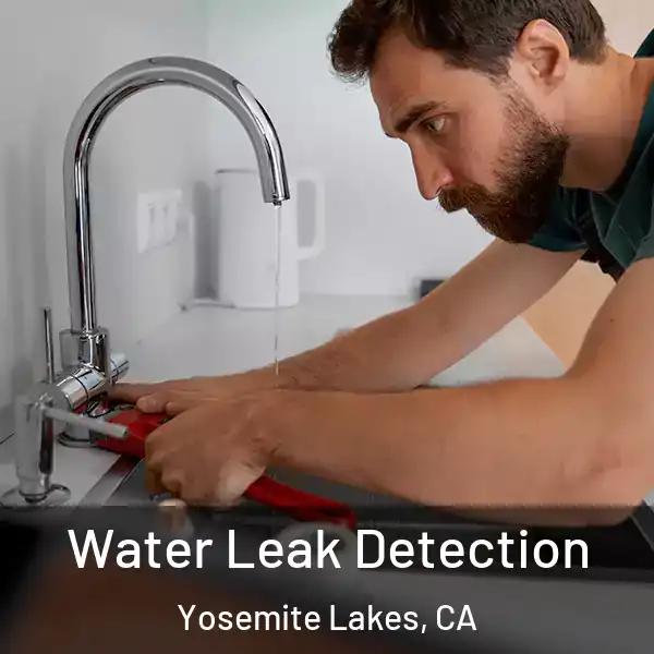  Water Leak Detection Yosemite Lakes, CA