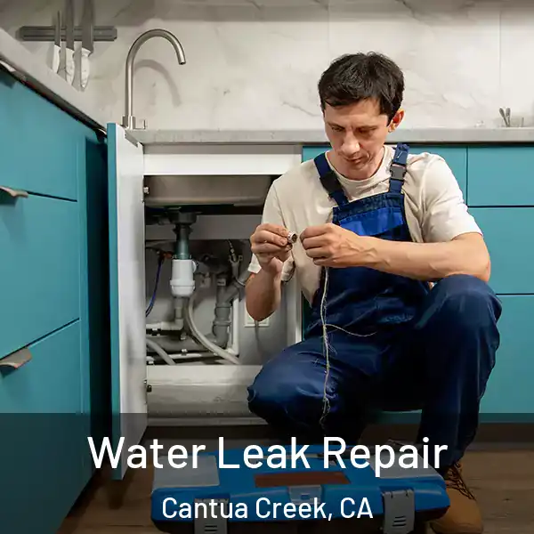  Water Leak Repair Cantua Creek, CA