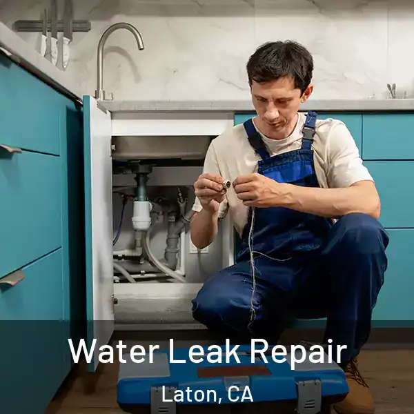  Water Leak Repair Laton, CA