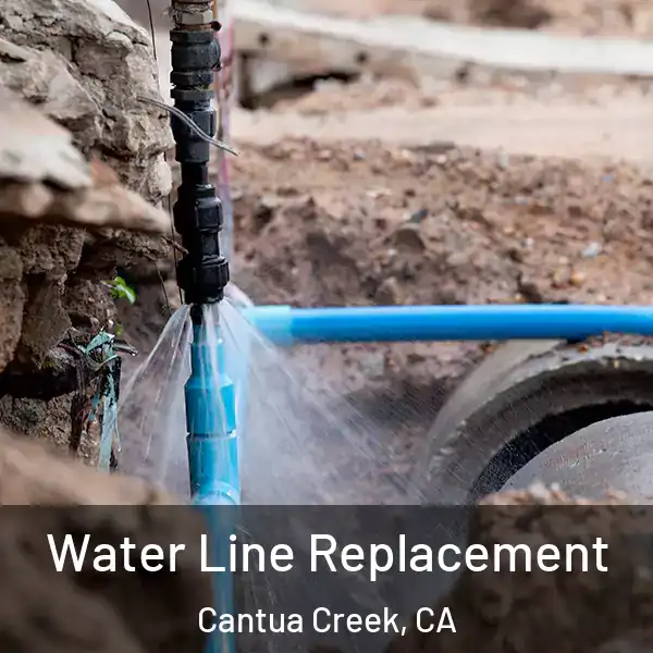  Water Line Replacement Cantua Creek, CA