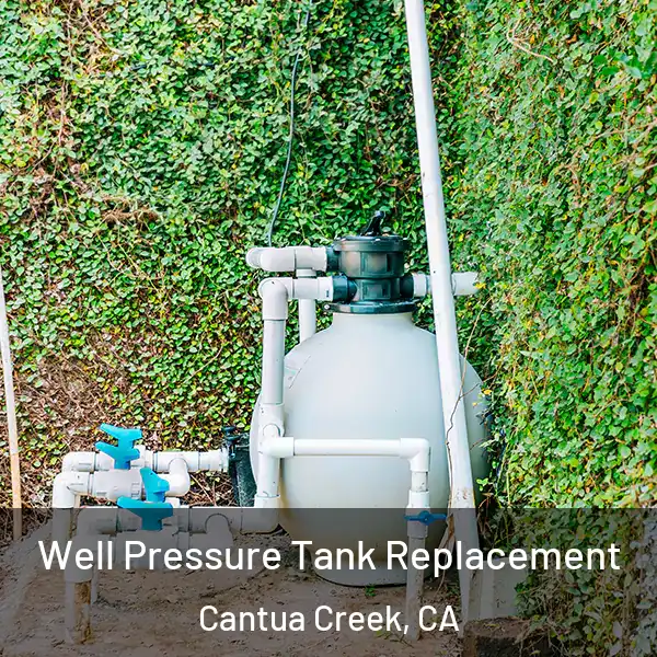  Well Pressure Tank Replacement Cantua Creek, CA