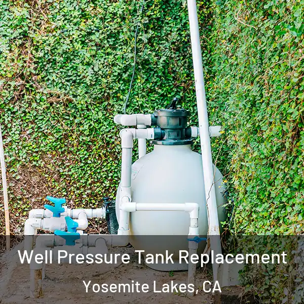  Well Pressure Tank Replacement Yosemite Lakes, CA