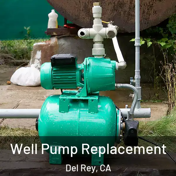  Well Pump Replacement Del Rey, CA